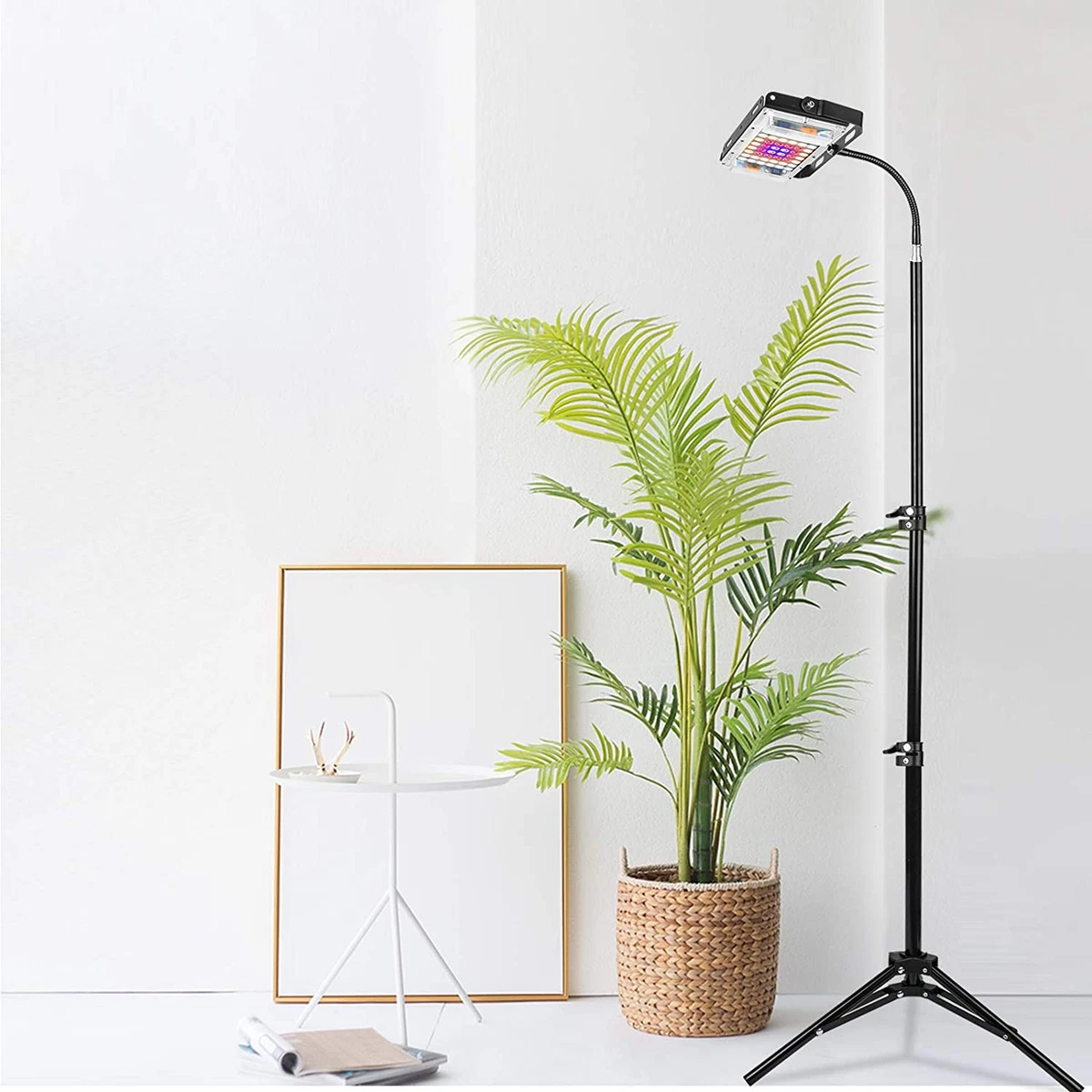 Floor grow lights for indoor plants discount