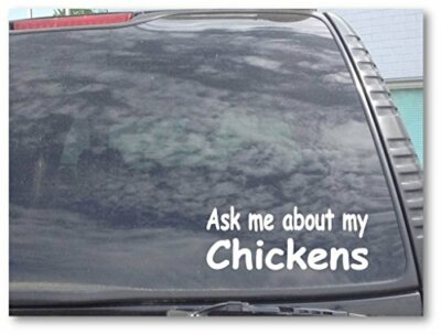 Ask me about my Chickens  Vinyl Car Truck Window Laptop Decal Sticker