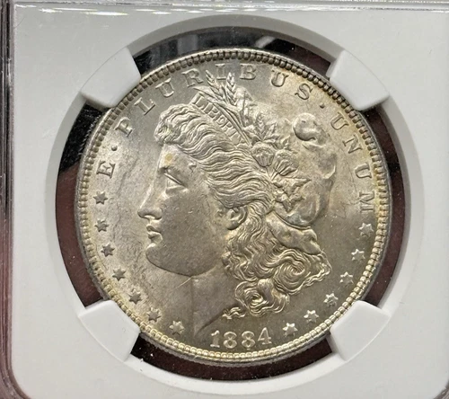 1884 MORGAN DOLLAR VAM 2A NGC MS63 Clashed E