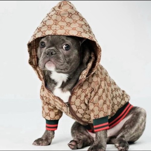 Small Dog Sweater Pet Friendly