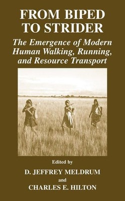 From Biped to Strider. ''The Emergence Of Modern Human Walking, Running, And Reso