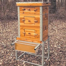 Bee Hive with Metal Frame and Stand, 10-Frame Bee Box Langstroth Beehive