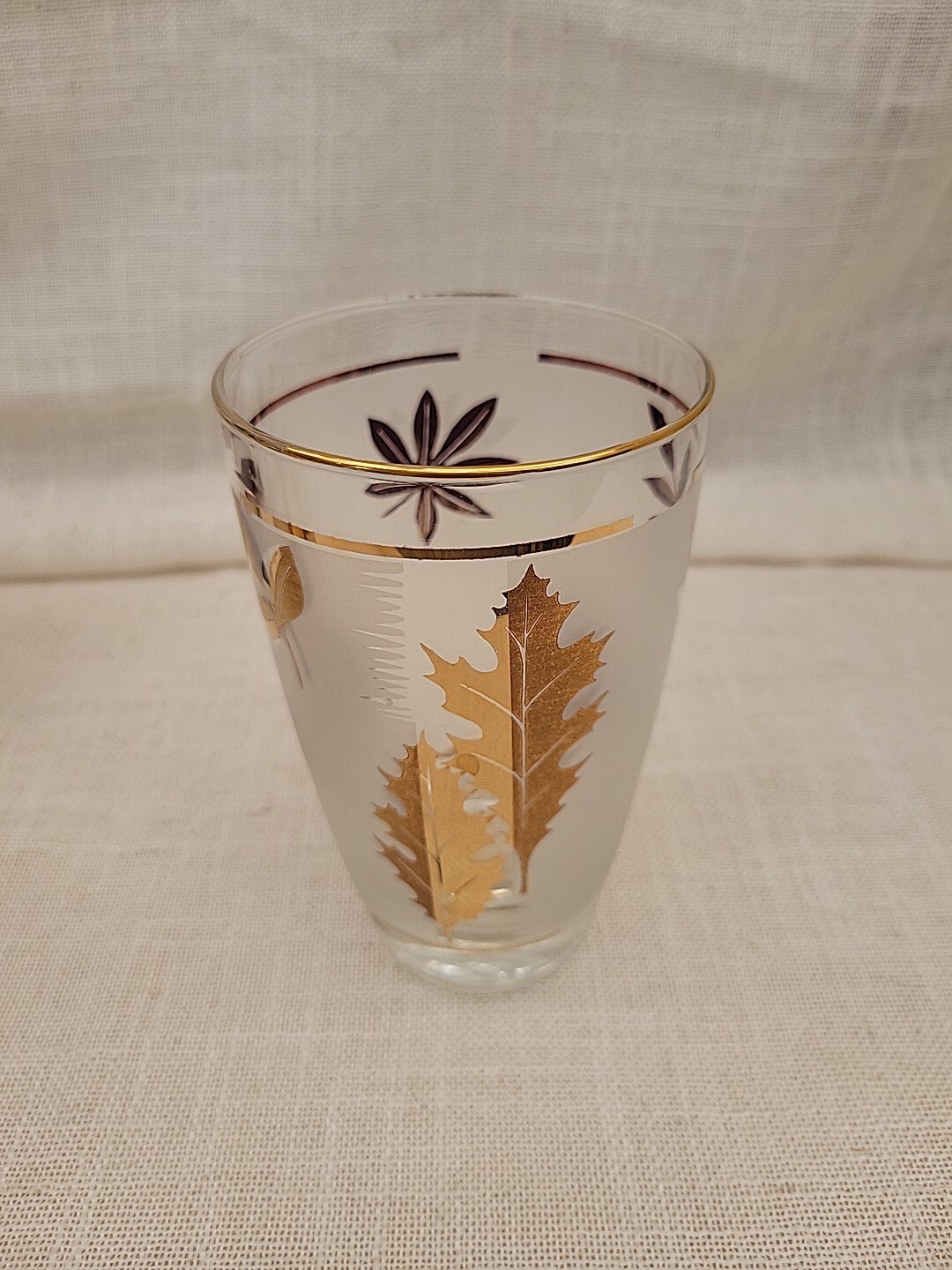 Vintage Libbey Frosted with Gold Leaf Foliage (5) Drinking Glasses