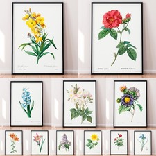 Botanical Flower Floral Retro Vintage Prints Poster Home Wall Art Decor