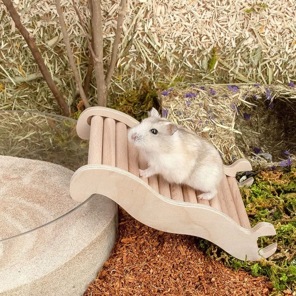 Hamster ladder pets clearance at home