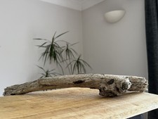 33cm DRIFTWOOD LOG BRANCH Large Craft Florist Display Air Plant reptile wood