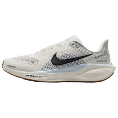 Nike Pegasus 41 FD2722-113