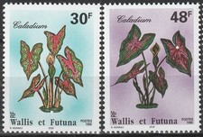 WALLIS FUTUNA 493 494 ** Flore locale : fleur caladium flower 1996