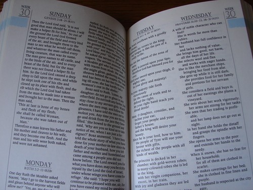 A Year with the Bible (1991, Hardcover) Religion Spiritual Holy Book Devotional - Picture 6 of 12