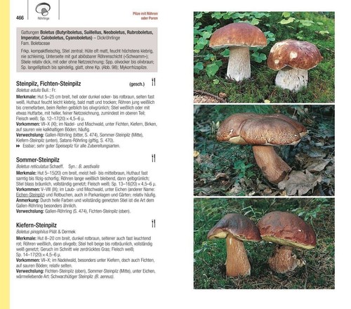 DER GROSSE BLV PILZFÜHRER | EWALD GERHARDT | Pilze - 1200 Arten - 1000 Fotos - Bild 6 von 9