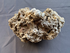 CaribSea South Sea Base Rock for Aquariums, 2 lbs