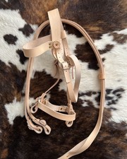 Testiera per Cavallo completa di redini