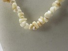 Vintage White Chip Shaped Shell Beaded Necklace 18" Long #14T — photo 2
