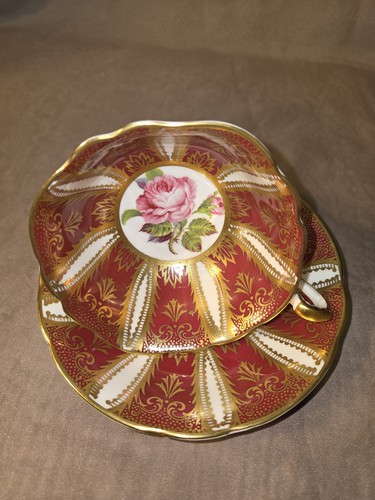 Vintage Gorgeous Paragon ~ PINK CABBAGE ROSE & FEATHER PANEL ~ Floral Teacup - Picture 2 of 8