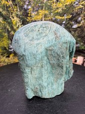 Hampton Butte Petrified Wood – Polished Part Limb Display w/ Aqua‑Green Color