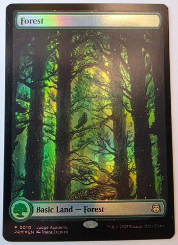 MTG-Judge Gift Cards 2023 Lands-Forest, Swamp, Plains, Mountain, Island-FOIL MT - Picture 7 of 12