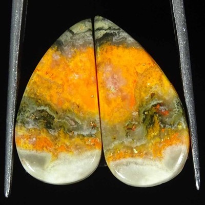 22,00 Cts Natürlicher Bumble Bee Jasper Fancy Paar Cabochon Lose Edelstein