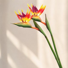 Artificial Bird of Paradise Flower Stem, Tropical Faux Strelitzia for Vase