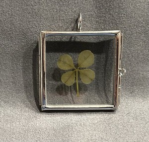 Vintage Genuine 4 Leaf Clover In Glass Display Case