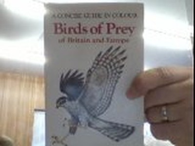 Birds of Prey of Britain and Europe..., Bouchner, Miros