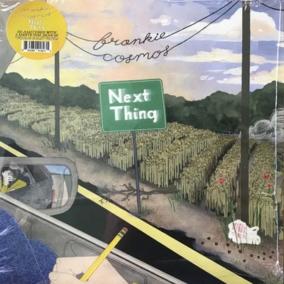 Frankie Cosmos - Next Thing