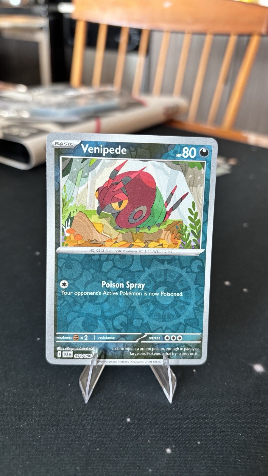 Venipede 054/086 Black Bolt Reverse Holo Rare Off-Center Print Pokemon Near Mint