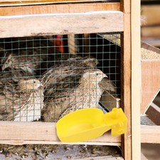 Easy Clean Automatic Waterer for Quail and Pigeons Designed for Optimal