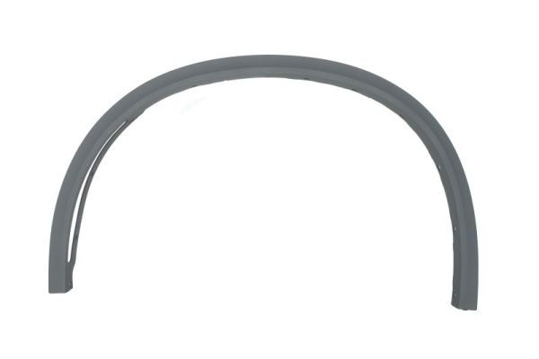 Left Front BLIC 5703-04-0096425P Trim/Protection Strip, wing for BMW