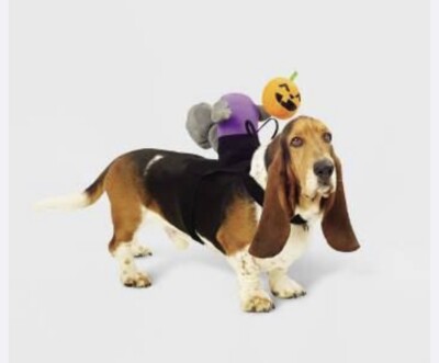 Hyde & EEK! Headless Horseman Squirrel Rider Dog and Cat Costume - Large/XLarge