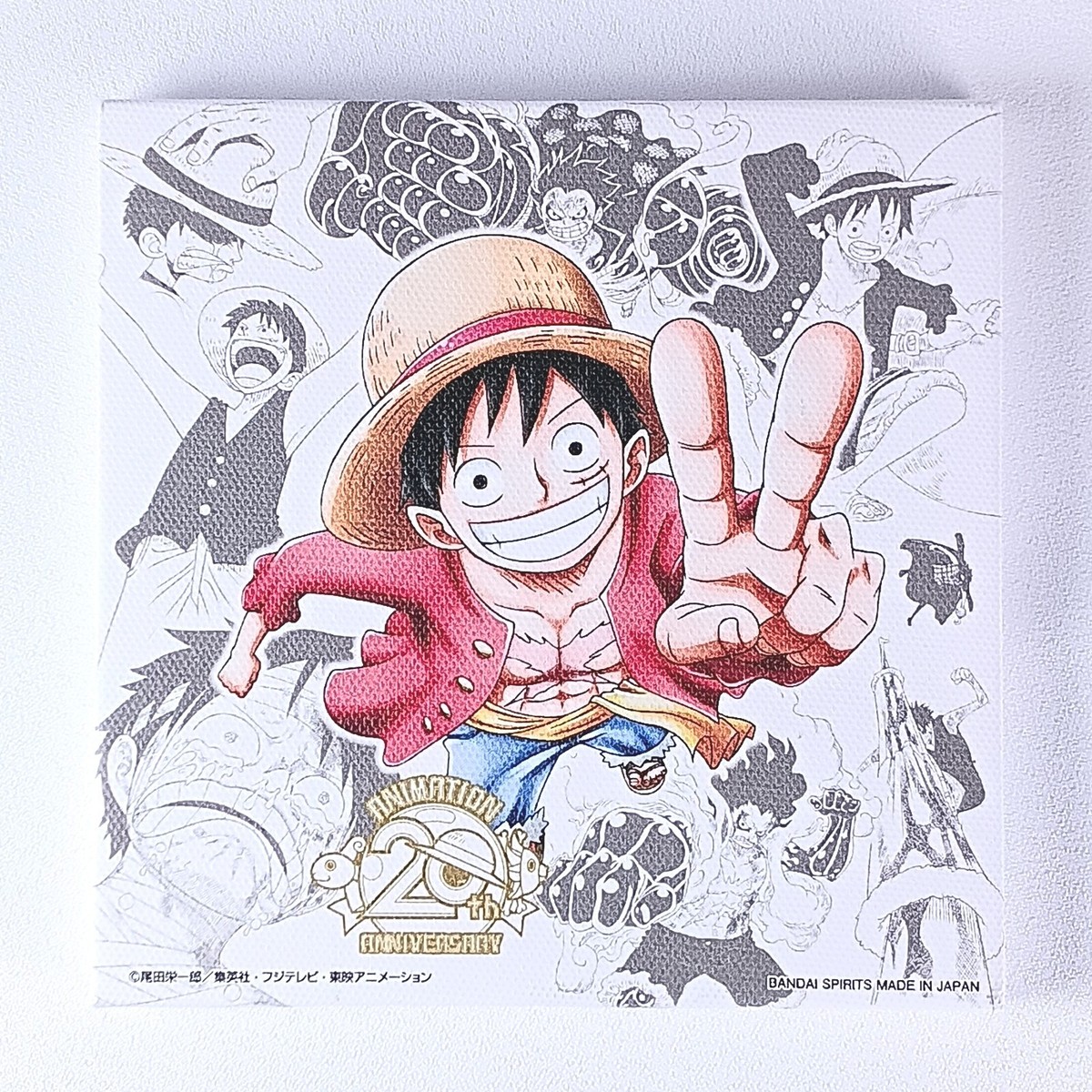 Monkey D. Luffy One Piece 20th Anniversary Canvas Board From