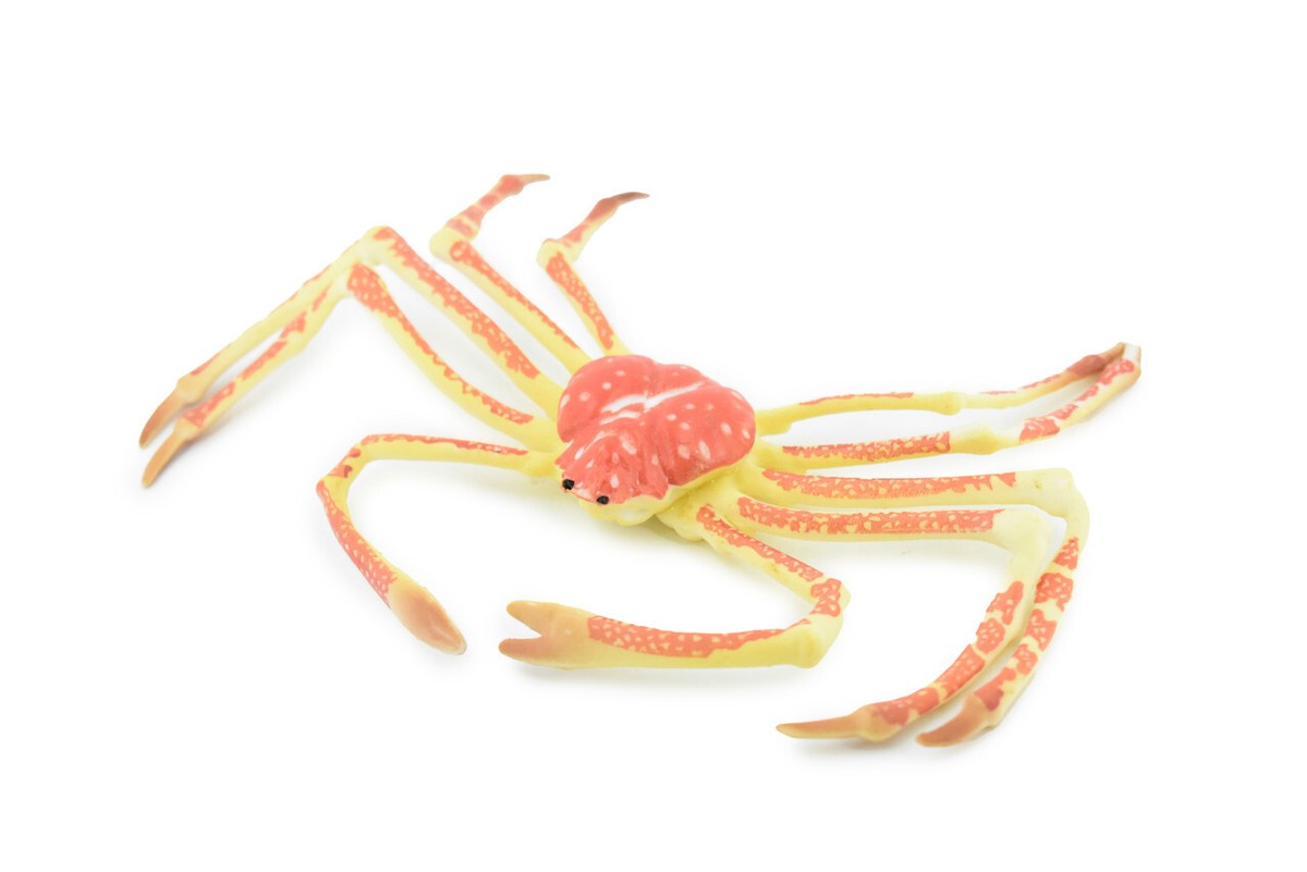 Spider Crab, Realistic Toy Figure, Model, Replica, Kids, Gift, 7