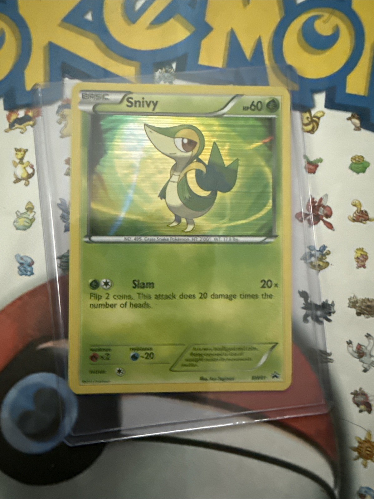 Pokémon TCG Snivy Black Star Promos BW01 Holo Black and White