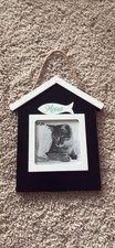 Cat Picture Frame 4x4 Photo