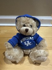 Plushland Collegiate Jersey Bear 6 Team University Of Kentucky