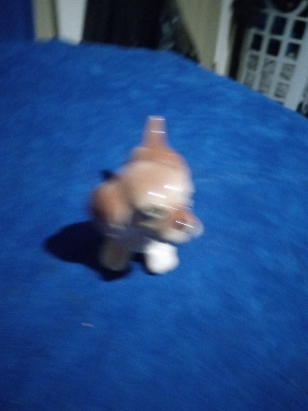 Picture 6 of 10