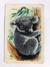 WOOLWORTHS SWAP CARD Vintage Rare Old Estate Koala Bear Australia Native Animals