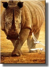 Rhino Wildlife Safari Picture on Stretched Canvas, Wall Art Décor, Ready to Hang