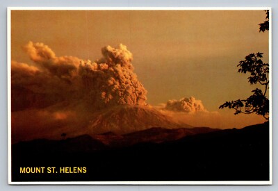 Postcard Washington Mt. St. Helens Volcano Eruption 1980 6x4 Chrome Unpost H194
