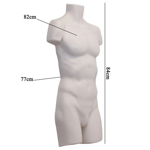Male Hollow Back Hanging Full Body Form Plastic Mannequin Torso Bust Display - Picture 22 of 32