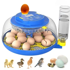 Automatic Egg Incubator With Temperature Control Humidity And Auto Turning
