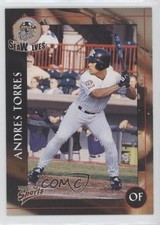 2001 Multi-Ad Sports Erie SeaWolves Andres Torres #22 0b5