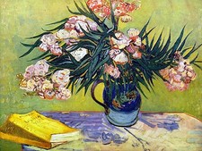 Still Life with Oleander Accent Tile Mural Kitchen Bathroom Wall Backsplash 8x6