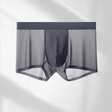 Ice Silk Men's Underwear Quick Dry Boxer Shorts Thin Mesh Boys Men Underpants