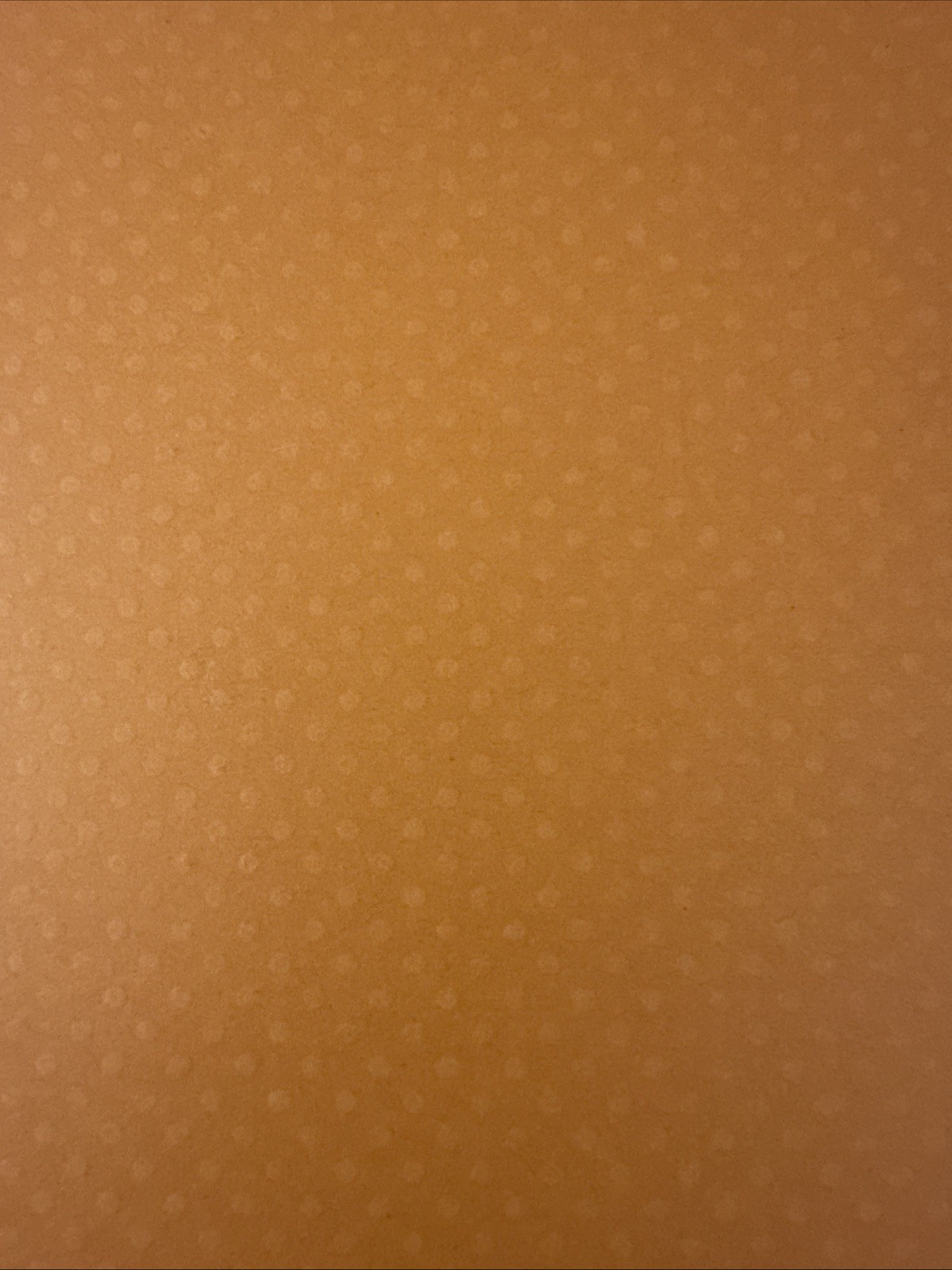 12x12 Bazzill Cardstock Paper Festive