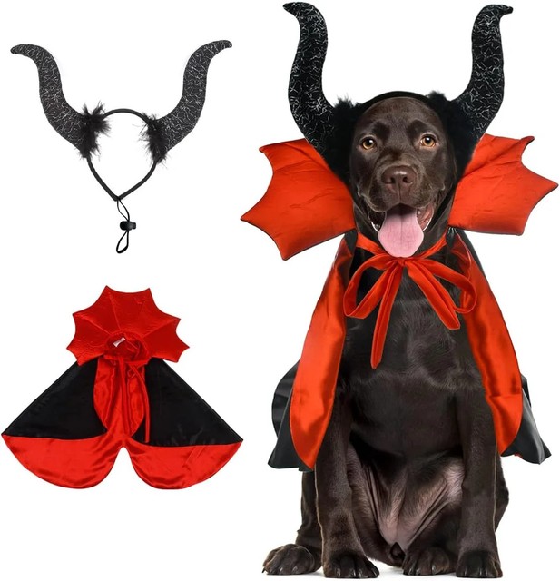 Frisco Vampire Cape Dog & Cat Costume, Medium/Large
