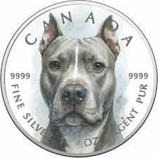  2026 Canada 1oz 9999 Silver BU Silent Strength Colouriized