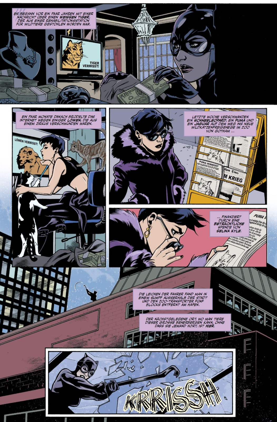 Thumbnail - Dc Celebration: Catwoman, Paul Dini