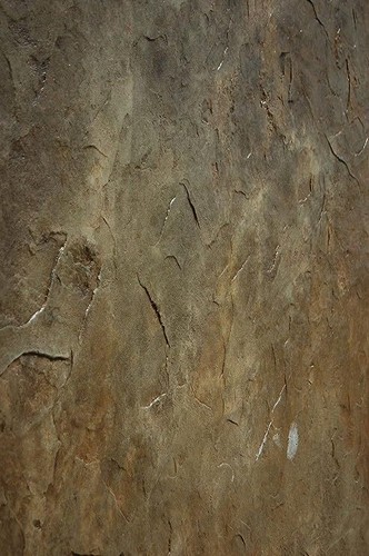 Colorado Sandstone | 6 pc 24" x 32” Seamless Skin Texture Stamp Set by Walttools - Picture 5 of 7