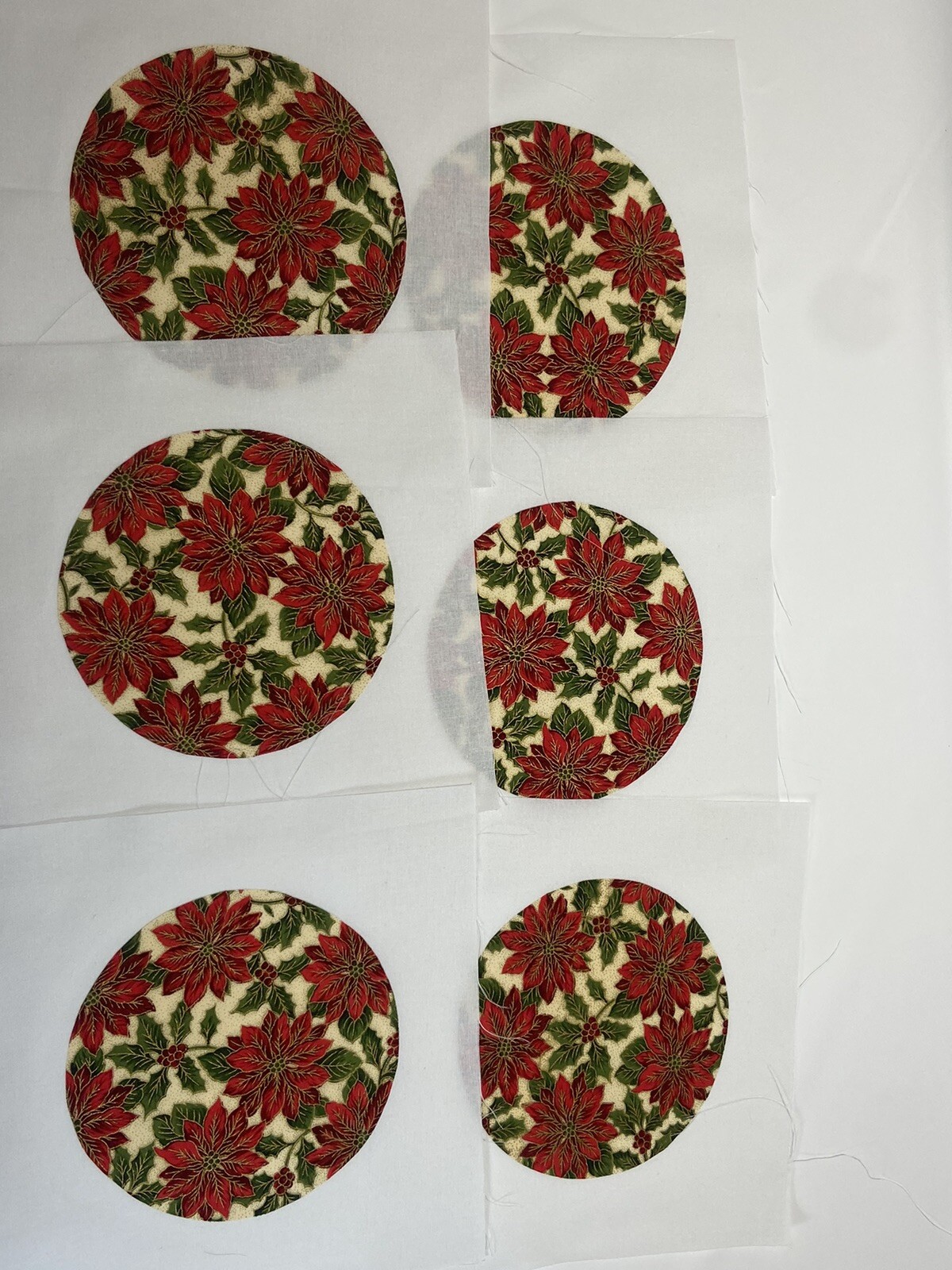 Foto 10 di 24