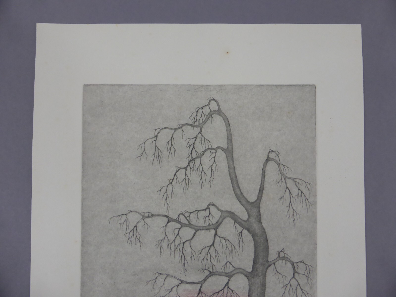 Picture 3 of 7